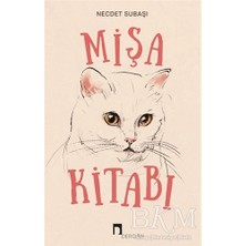 TeknoKapsül Mişa Kitabı