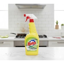 Mintax Mutfak Temizleyici 1000 ml