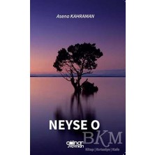 TeknoKapsül Neyse O