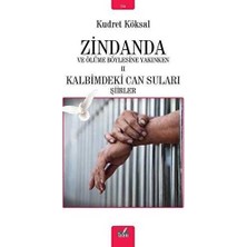 TeknoKapsül Zindanda ve Ölüme Böylesine Yakınken 2