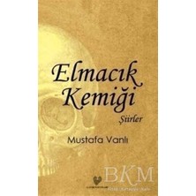 TeknoKapsül Elmacık Kemiği
