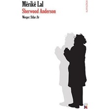 TeknoKapsül Merike Lal
