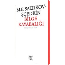 TeknoKapsül Bilge Kayabalığı