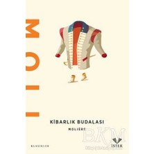 TeknoKapsül Kibarlık Budalası