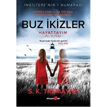 TeknoKapsül Buz Ikizler