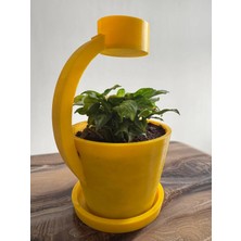 Çelik - Ticaret 3D Baskı Yağmur Damlatmalı Sulama Haznesi Kavisli Kollu Dekoratif Bitki Saksısı Altlıklı Masaüstü Saksı Sarı