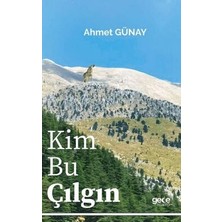 TeknoKapsül Kim Bu Çılgın