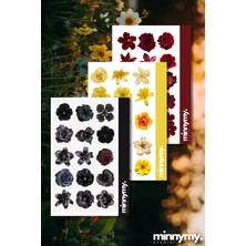 Minnymy 3'lü Flower Collection Vintage Sticker, Çıkartma, Ajanda, Günlük, Planlayıcı, Bullet Journal
