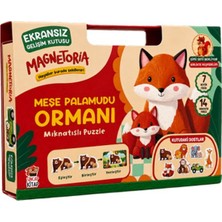 Marsilyan Magnetoria – Meşe Palamudu Ormanı