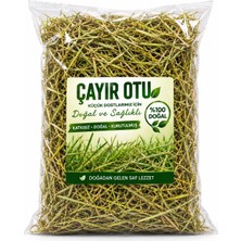 Polybotum Doğal Çayır Otu Tavşan Ginepig Hamster Kemirgen Yemi – Kurutulmuş Lifli Katkısız Ot 1000GR