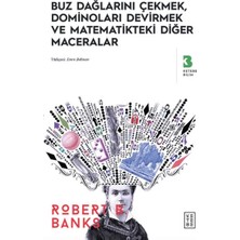 Marsilyan Buz Dağlarını Çekmek, Düşen Dominolar ve Diğer Uygulamalı Matematik Maceraları
