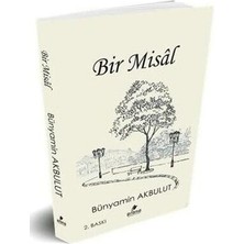 TeknoKapsül Bir Misal