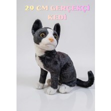 Boratila Toys 29 Cm Gerçekçi Peluş Oyuncak Kedi