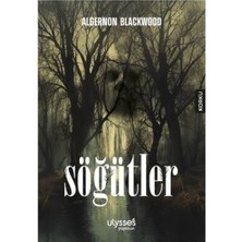 TeknoKapsül Söğütler