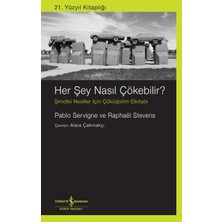 İş Bankası Kültür Yayınları Her Şey Nasıl Çökebilir?