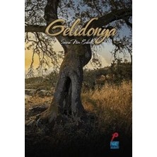 TeknoKapsül Gelidonya