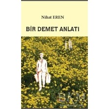 TeknoKapsül Bir Demet Anlatı