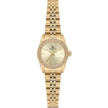 Momentus SW262G-08SG