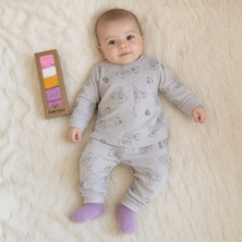 Gri Ayıcık Desenli Bebek Pijama Takımı ve Çorap Seti