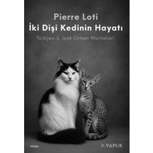 TeknoKapsül Iki Dişi Kedinin Hayatı