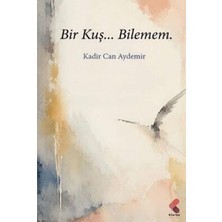TeknoKapsül Bir Kuş… Bilemem.