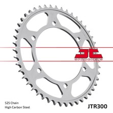Jt JTR300.42 Yamaha Tdm 900 Arka Dişli Uyumlu