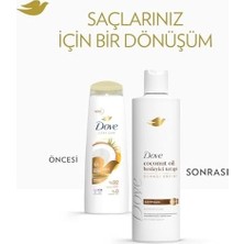 Şampuan Coconut Oil Besleyici Terapi 375 ml