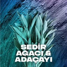 Erkek Sprey Deodorant Apollo 48 Saat Etkileyici Koku Vücut Spreyi 150 ml
