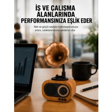 Kablosuz Retro Radyo Hoparlör 5W Güçlü Ses USB Hafıza Kart Destekli Yeni Nesil