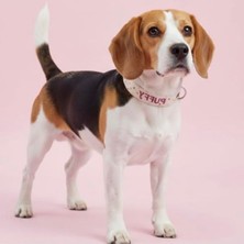 Frefly Store Kişiye Özel Isimli Köpek Tasması, Çeşitli Desen Seçenekleri