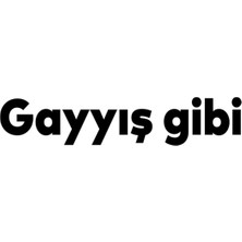 Berrybu Gayış Gibi Oto Cam Özel Yeni Sticker Siyah 20*4 cm