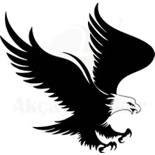 Berrybu Kartal Tasarım Oto Sticker Siyah 30*30 cm