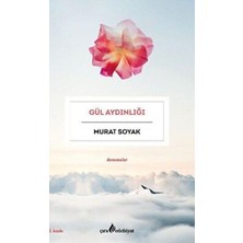 TeknoKapsül Gül Aydınlığı