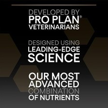 Prime Pro Plan Orta Yetişkin Köpek Maması Somonlu, 14 kg