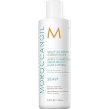 Prime Scalp Saç Derisi Dengeleyici Bakım Kremi 250 ml