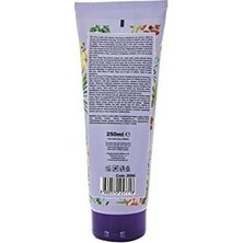 Prime Çiçek Kokulu E Vitaminli Ph Dengeli Canlandırıcı Duş Jeli - 250 ml