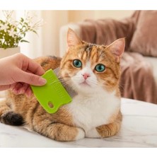 Myg Plus Kedi ve Köpekler Için Bit Pire Tarağı, Etkili Temizlik Aracı