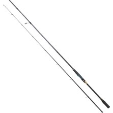 Ryuji Terminator 240CM 4-35GR 2 Parça Spin Olta Kamışı