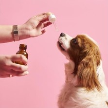 Prime Kito Skin & Coat Köpekler Için Tüy Sağlığını Destekleyici Multivitamin