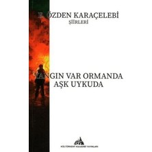 TeknoKapsül Yangın Var Ormanda Aşk Uykuda