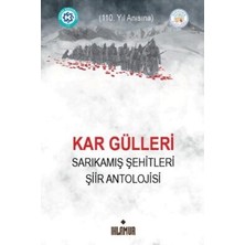 TeknoKapsül Kar Gülleri