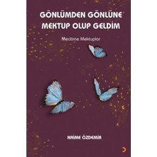 TeknoKapsül Gönlümden Gönlüne Mektup Olup Geldim