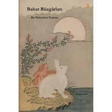 TeknoKapsül Bahar Rüzgârları: Bir Mektubun Doğuşu