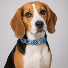 Die Grup Desenli Ayarlanabilir Köpek Boyun Tasması 25 Mm, 39-55 cm