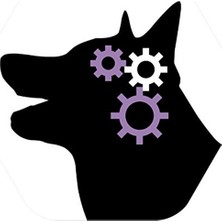 Die Grup Pro Plan 7 Yaş Üzeri Orta ve Iri Irk Yetişkin Köpekler Için, Zengin Tavuk Içeriği 14KG