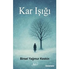 TeknoKapsül Kar Işığı