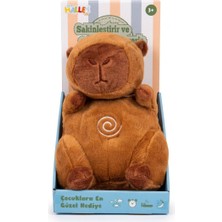 Sinerjim PL50123 28 CM IŞIKLI MÜZİKLİ PELUŞ OYUNCAK PELUŞ DUYGUSAL