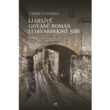 TeknoKapsül Li Geliye Goyane Roman Li Diyarbekire Şiir