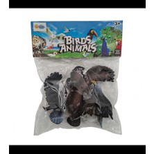 Sinerjim DMN058-4 PVC'DE 4LÜ KUŞLAR ALEMİ OYUNCAK HAYVAN SETİ