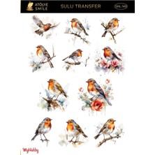 Atölye Smile SML149 Çoklu, Kuş Desenli Açık Zemin Sulu Transfer 25*35 cm